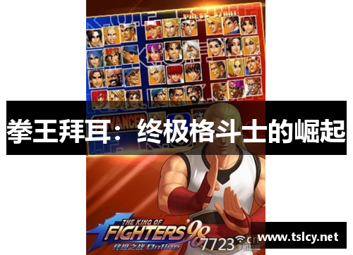 拳王拜耳：终极格斗士的崛起